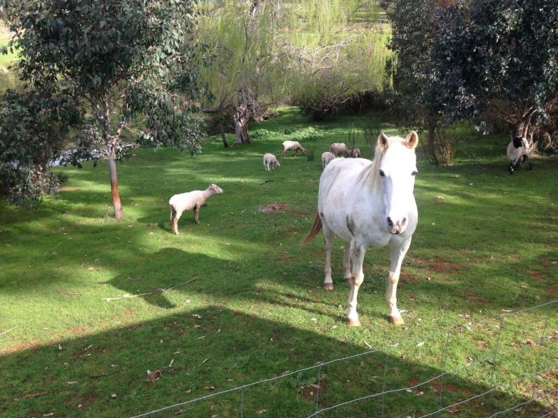 45 Flintoff Road, Bridgetown WA 6255