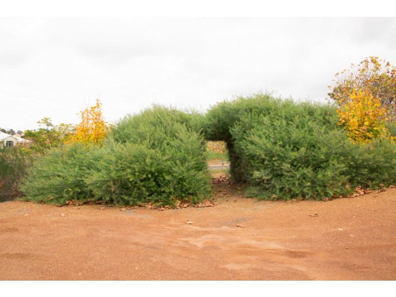 Lot 124 Skye Lane, Bridgetown WA 6255