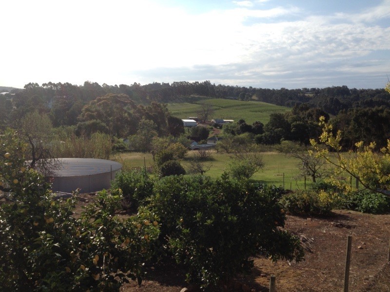 67 Forrest Street, Bridgetown WA 6255