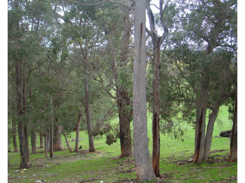 26 Robinia Way, Bridgetown WA 6255