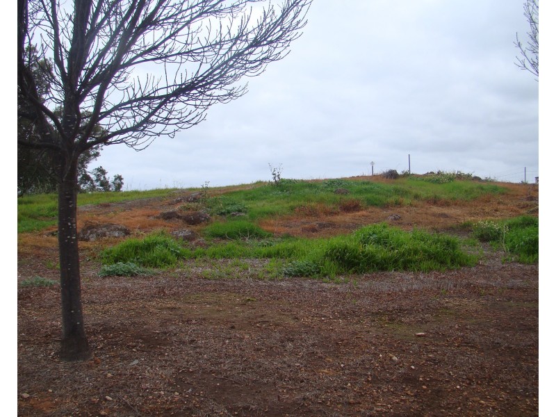 26 Robinia Way, Bridgetown WA 6255