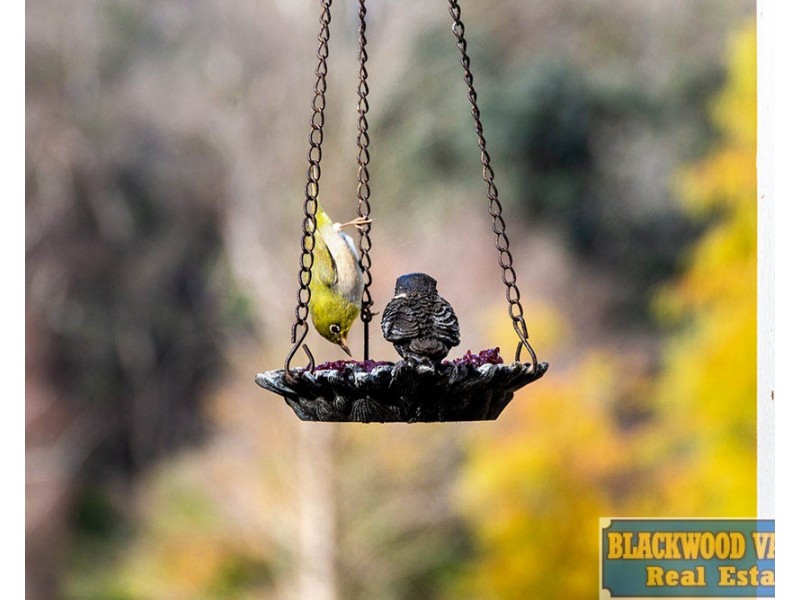 98 Turner Road, Bridgetown WA 6255