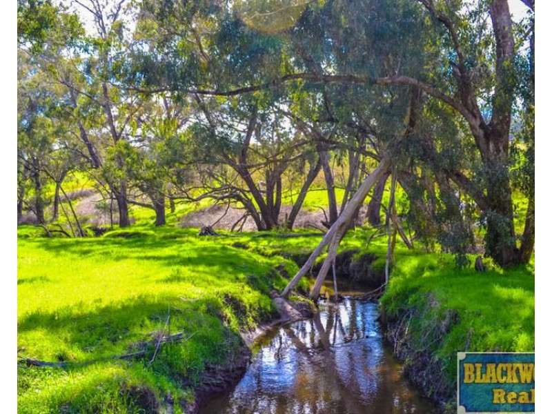 195 Eastcott Road, Catterick WA 6255