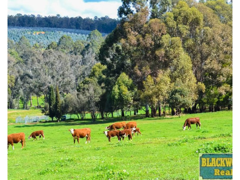 195 Eastcott Road, Catterick WA 6255