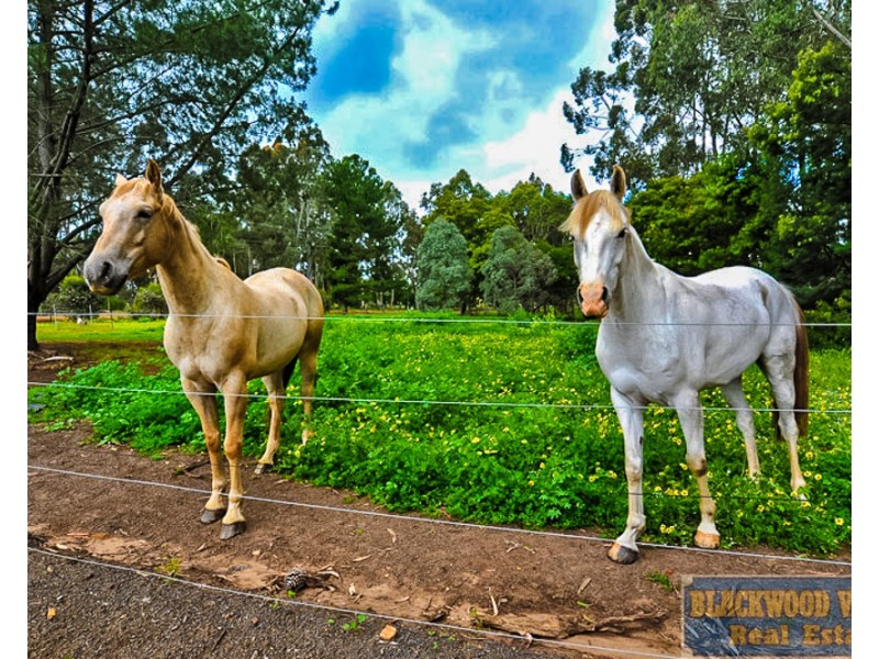 2 Doust Street, Bridgetown WA 6255