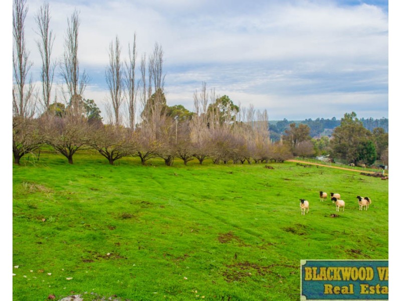 12 Palmers Road, Bridgetown WA 6255