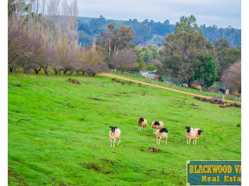 12 Palmers Road, Bridgetown WA 6255