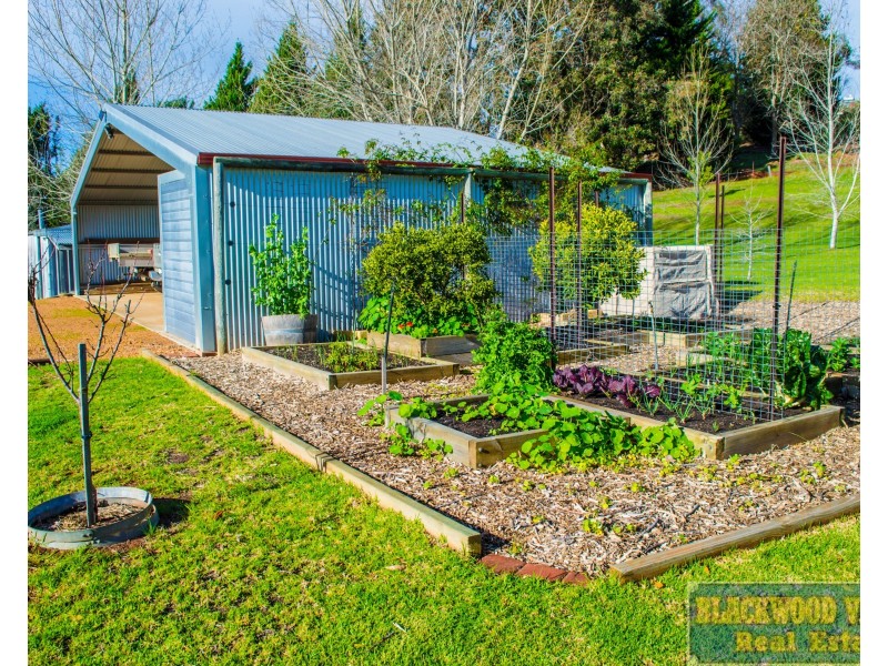 286 Middlesex Road, Manjimup WA 6258