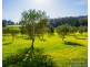 286 Middlesex Road, Manjimup WA 6258