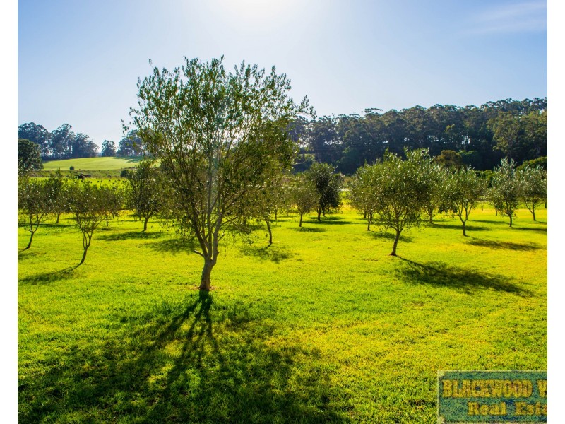 286 Middlesex Road, Manjimup WA 6258