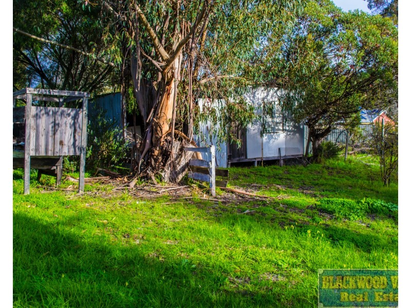 87 Blackwood Road, Greenbushes WA 6254