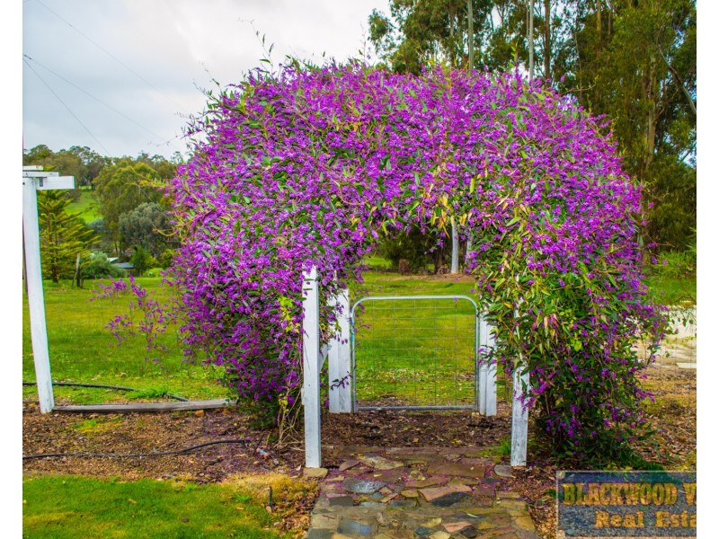 7 Whittells Road, Bridgetown WA 6255