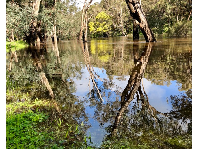 51 River Road, Bridgetown WA 6255