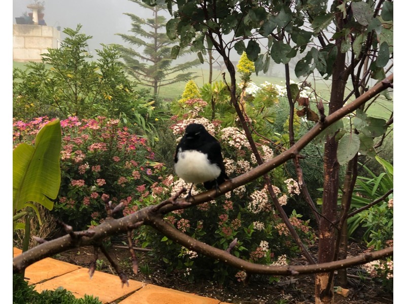 51 River Road, Bridgetown WA 6255