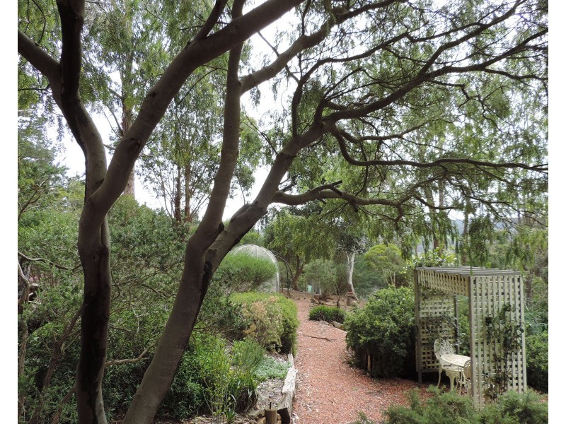 16 Silverbirch Heights, Bridgetown WA 6255