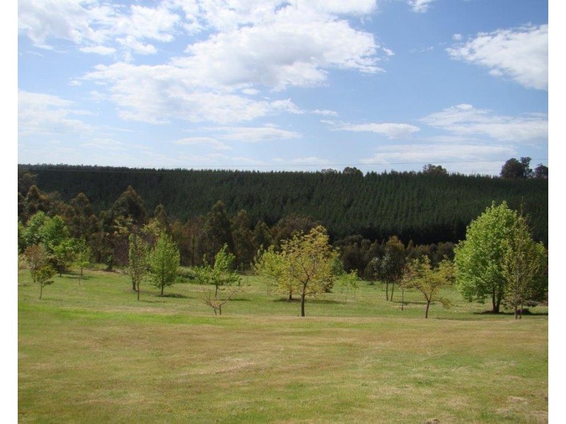 82 Bolten Gale Road, Bridgetown WA 6255