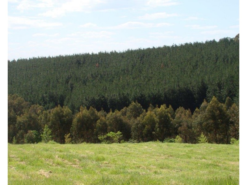 82 Bolten Gale Road, Bridgetown WA 6255