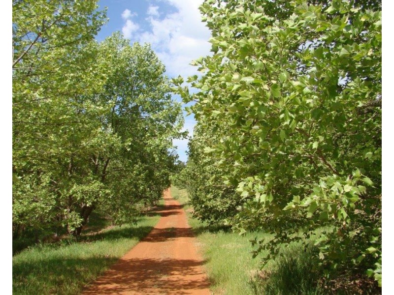 82 Bolten Gale Road, Bridgetown WA 6255