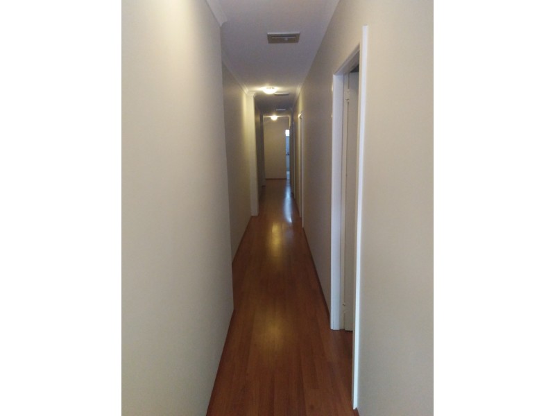492 Parramatta Road, Petersham NSW 2049