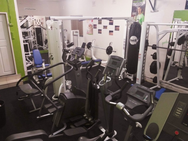 51 Northcote Street, Canterbury NSW 2193