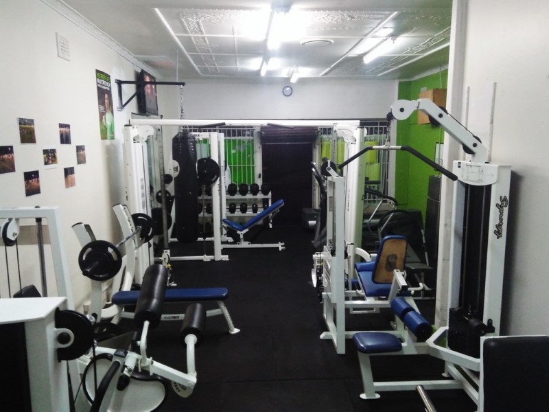 51 Northcote Street, Canterbury NSW 2193