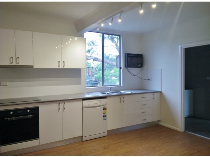 1/209 Marion Street, Leichhardt NSW 2040