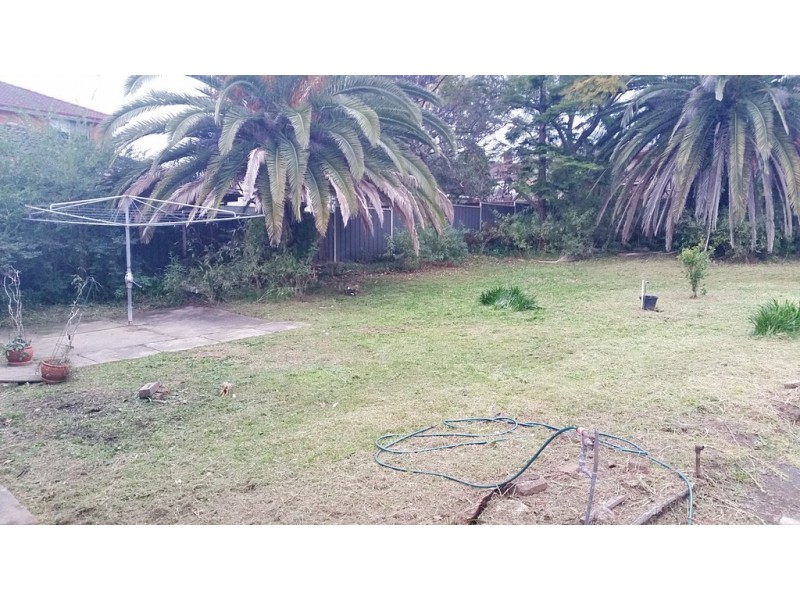 12 Beaumont Street, Campsie NSW 2194