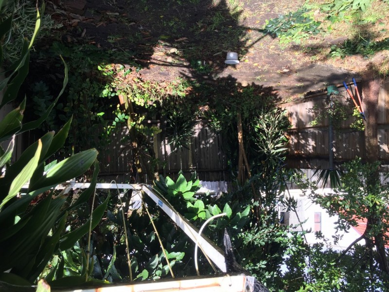 15 Robert Street, Petersham NSW 2049