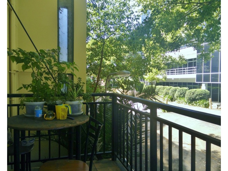 18/8 Cavill Avenue, Ashfield NSW 2131