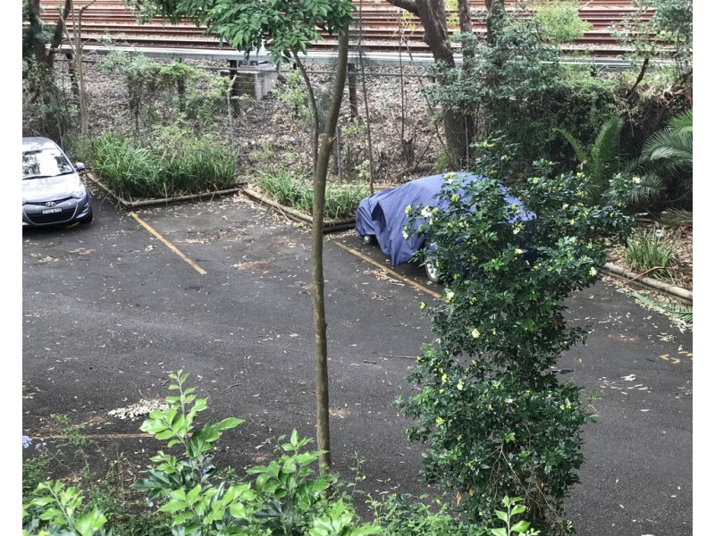 18/8 Cavill Avenue, Ashfield NSW 2131