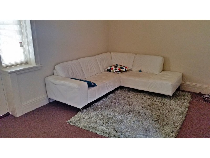 103 Dalhousie Street, Haberfield NSW 2045