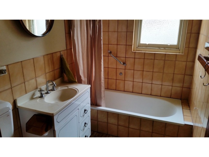 103 Dalhousie Street, Haberfield NSW 2045