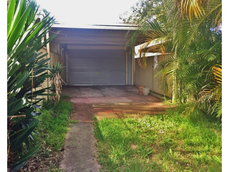 20 Kingston Road, Newtown NSW 2042