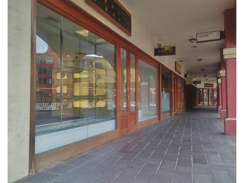 25, 23 Norton Street, Leichhardt NSW 2040