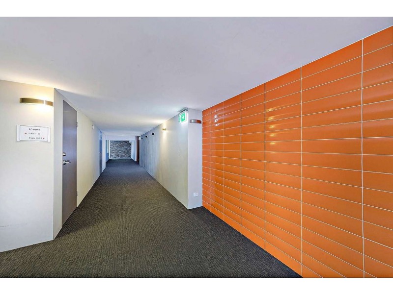 17/133-139 Marion Street, Leichhardt NSW 2040