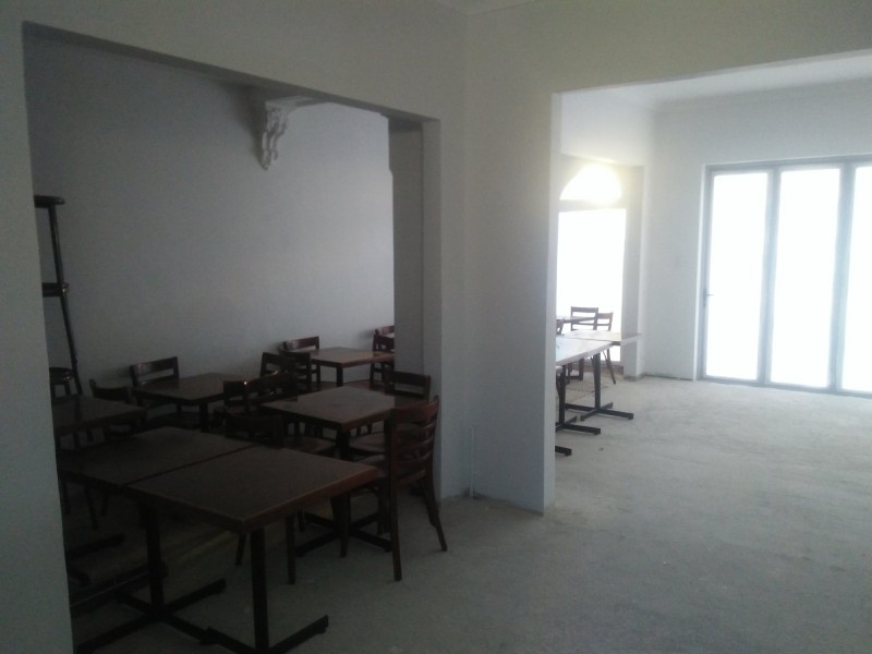 20a Norton, Leichhardt NSW 2040