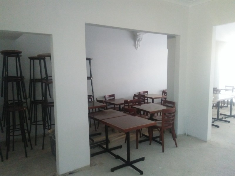 20a Norton, Leichhardt NSW 2040