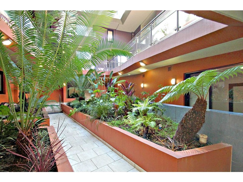 7/469 Parramatta Road, Leichhardt NSW 2040