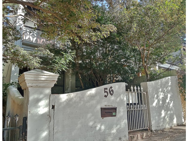 56 Palace Street, Petersham NSW 2049