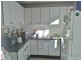 56 Palace Street, Petersham NSW 2049