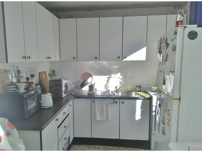 56 Palace Street, Petersham NSW 2049