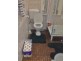 56 Palace Street, Petersham NSW 2049