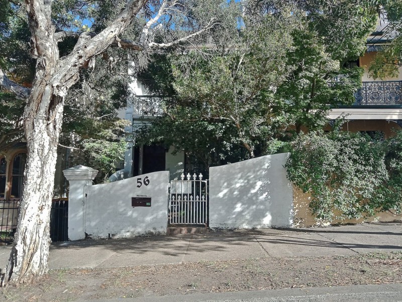 56 Palace Street, Petersham NSW 2049