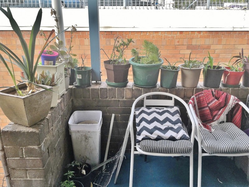 3/4 Phillip Street, Petersham NSW 2049