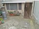 1/466 Parramatta Road, Petersham NSW 2049