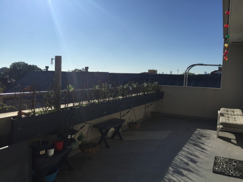 2/46 Jarrett, Leichhardt NSW 2040