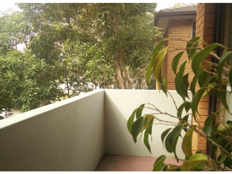 31 Livingstone Road, Petersham NSW 2049