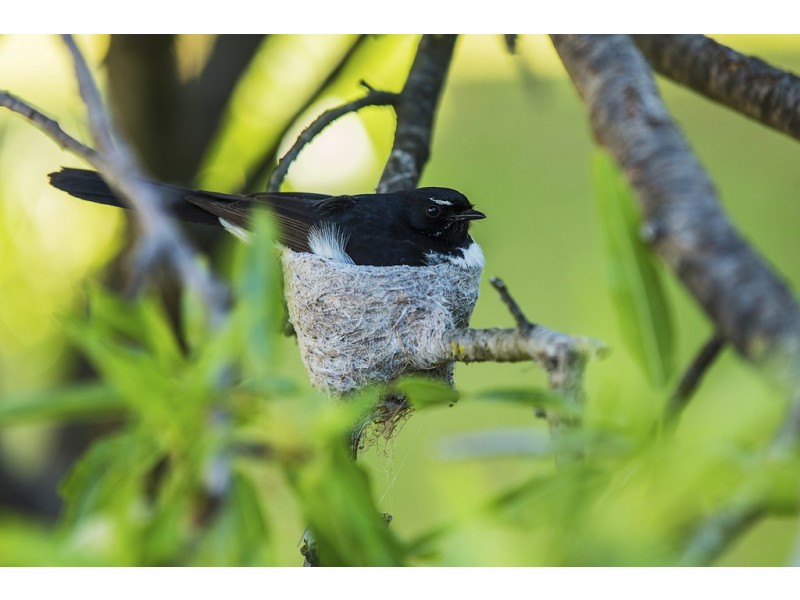 Werribee South VIC 3030