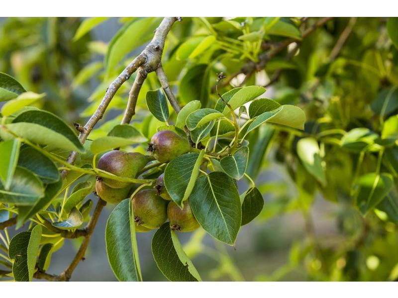 Werribee South VIC 3030