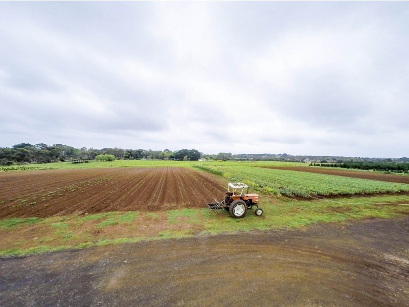 2102 Phillip Island Road, Cowes VIC 3922